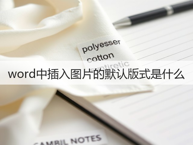word中插入图片的默认版式是什么(图2) word中插入图片的默认版式是什么(图2)