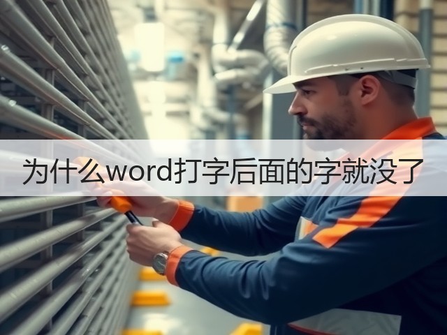 为什么word打字后面的字就没了(图3) 为什么word打字后面的字就没了(图3)
