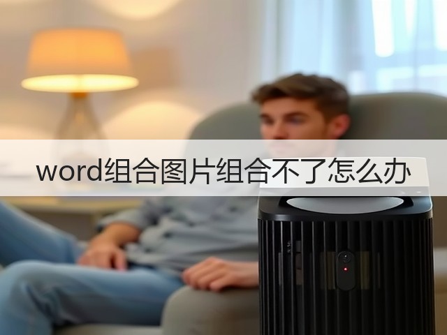 word组合图片组合不了怎么办(图3)