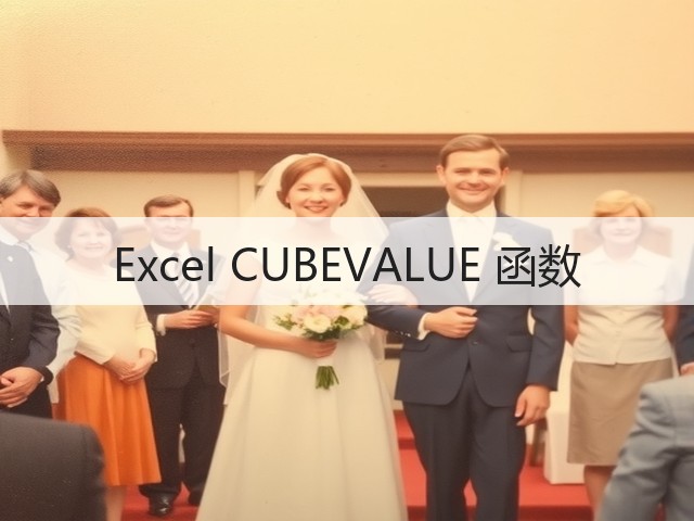 Excel CUBEVALUE 函数(图3)