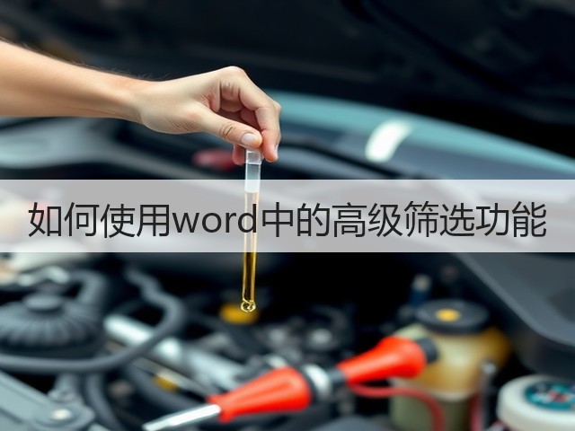 如何使用word中的高级筛选功能(图1)