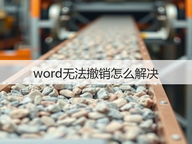 word无法撤销怎么解决(图3) word无法撤销怎么解决(图3)