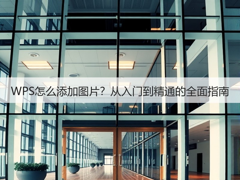 WPS怎么添加图片？从入门到精通的全面指南 - 诺云壹观办公网