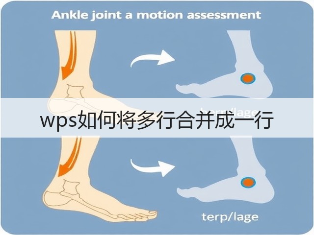 wps如何将多行合并成一行(图3)