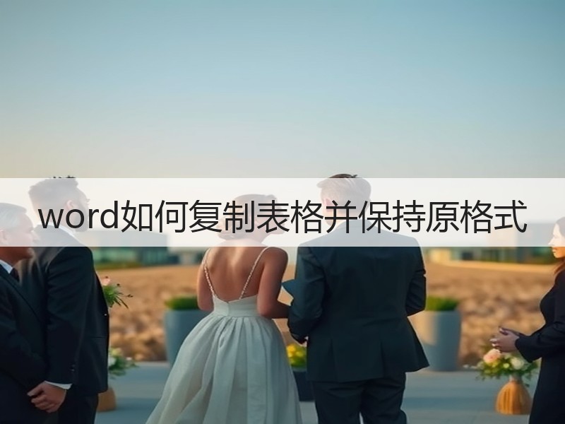 word如何复制表格并保持原格式 - 诺云壹观办公网