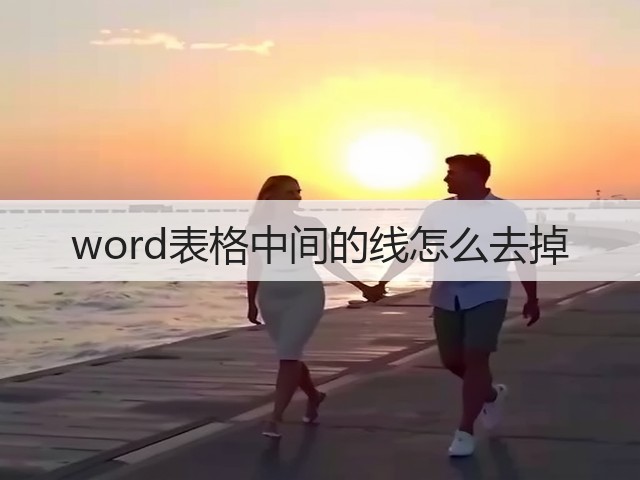 word表格中间的线怎么去掉(图3) word表格中间的线怎么去掉(图3)
