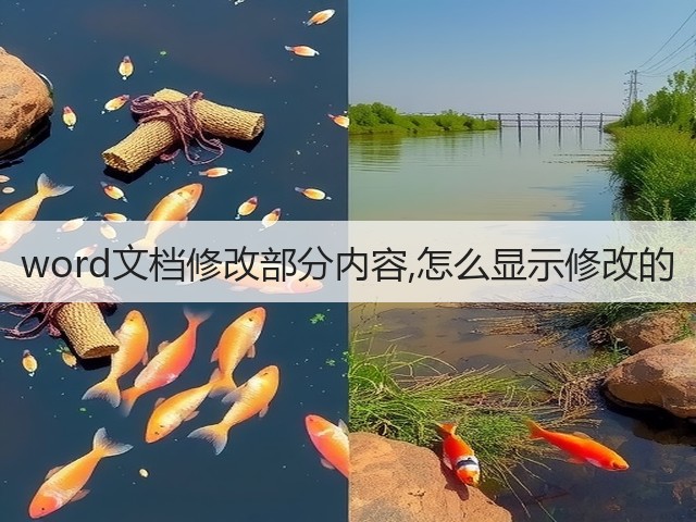 word文档修改部分内容,怎么显示修改的(图3) word文档修改部分内容,怎么显示修改的(图3)
