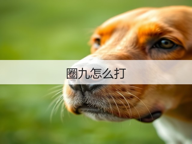 圈九怎么打(图2) 圈九怎么打(图2)