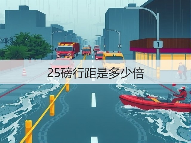 25磅行距是多少倍(图2)