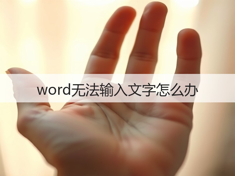 word无法输入文字怎么办 - 诺云壹观办公网