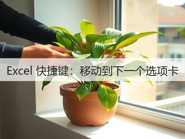 Excel 快捷键:移动到下一个选项卡(图3) Excel 快捷键:移动到下一个选项卡(图3)