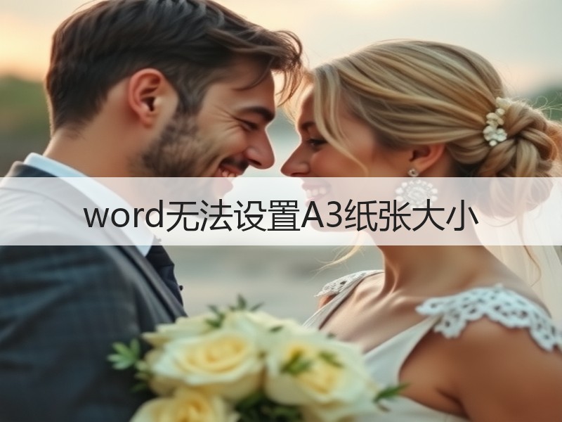 word无法设置A3纸张大小 - 诺云壹观办公网