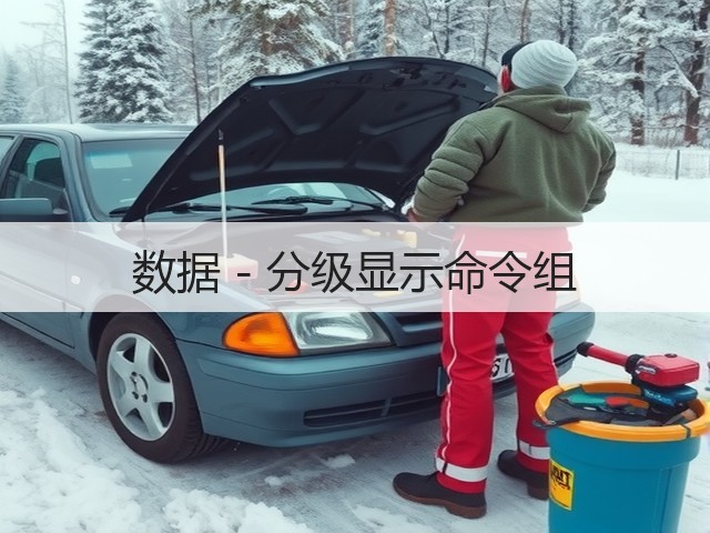 数据 - 分级显示命令组(图1) 数据 - 分级显示命令组(图1)
