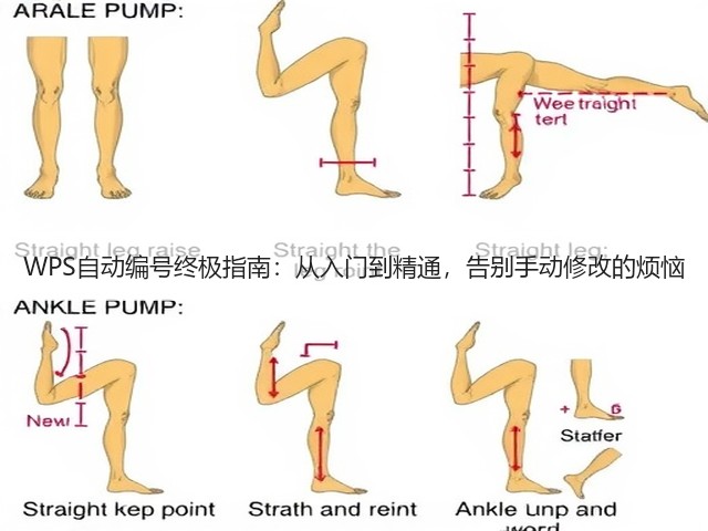 WPS自动编号终极指南:从入门到精通,告别手动修改的烦恼(图2) WPS自动编号终极指南:从入门到精通,告别手动修改的烦恼(图2)