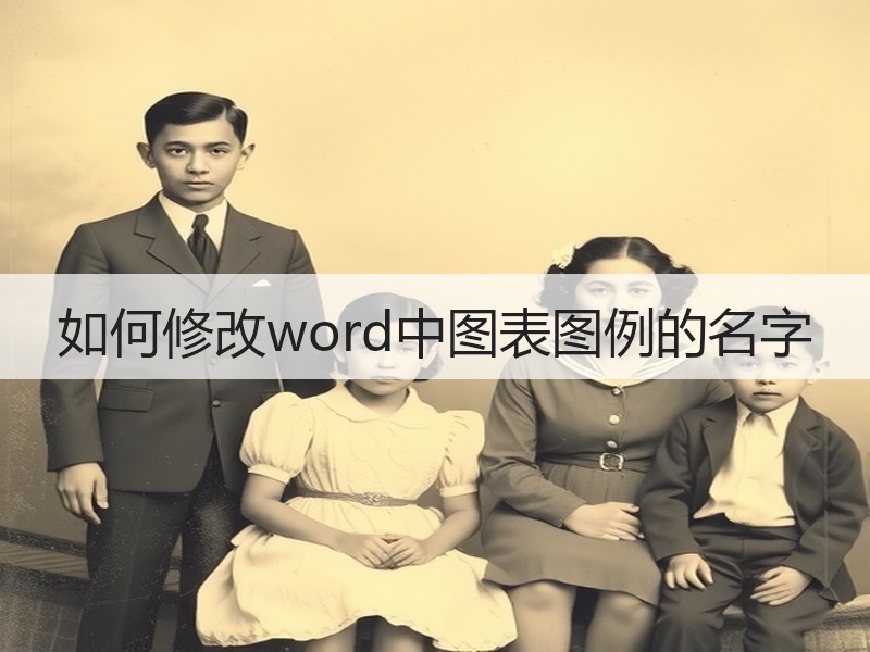 如何修改word中图表图例的名字 - 诺云壹观办公网