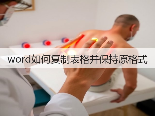 word如何复制表格并保持原格式(图3)