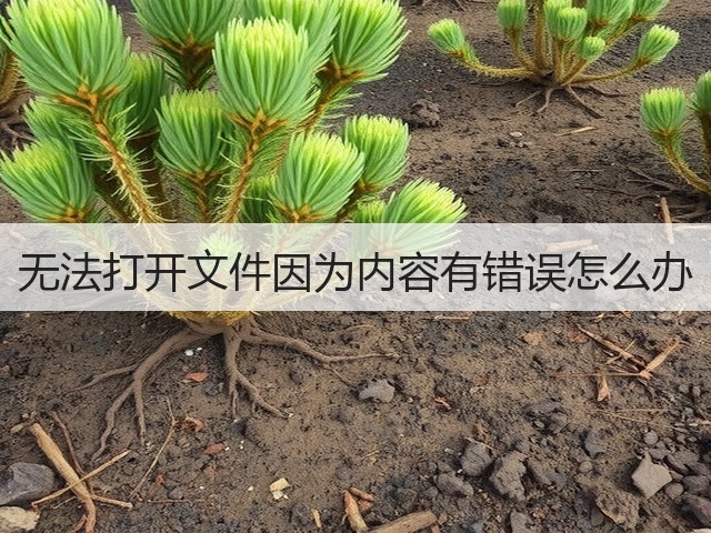 无法打开文件因为内容有错误怎么办(图2) 无法打开文件因为内容有错误怎么办(图2)