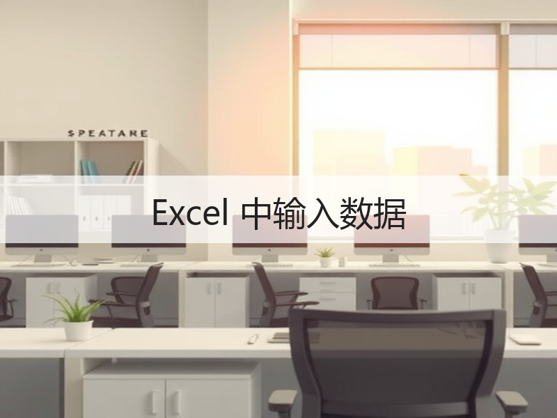 Excel 中输入数据