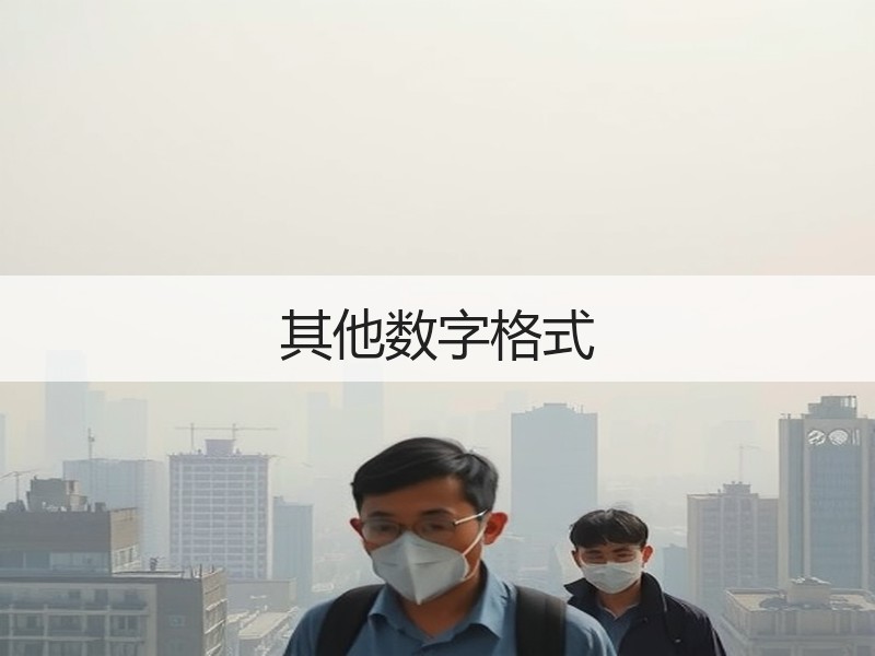 其他数字格式 - 诺云壹观办公网