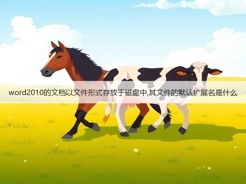 word2010的文档以文件形式存放于磁盘中,其文件的默认扩展名是什么 - 诺云壹观办公网