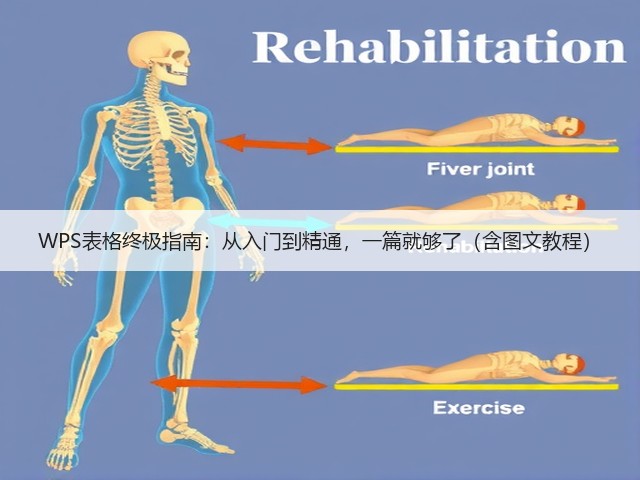 WPS表格终极指南:从入门到精通,一篇就够了(含图文教程)(图1) WPS表格终极指南:从入门到精通,一篇就够了(含图文教程)(图1)