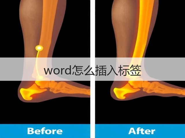 word怎么插入标签(图3) word怎么插入标签(图3)
