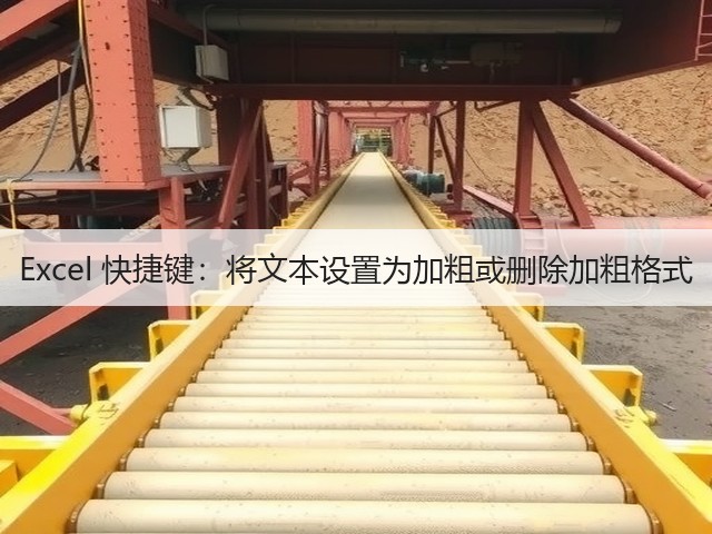 Excel 快捷键：将文本设置为加粗或删除加粗格式(图3)