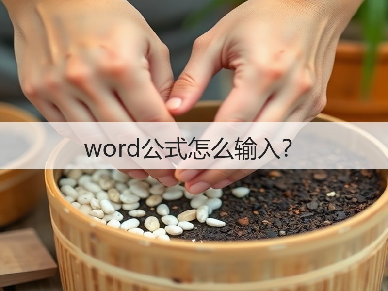 word公式怎么输入？ - 诺云壹观办公网