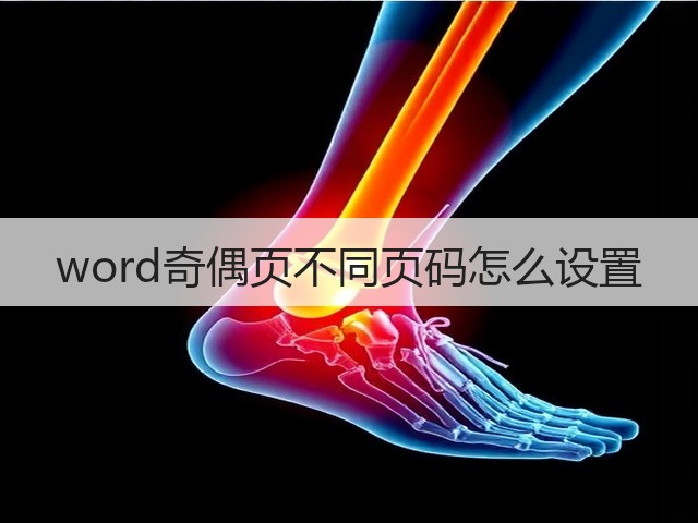word奇偶页不同页码怎么设置(图3) word奇偶页不同页码怎么设置(图3)