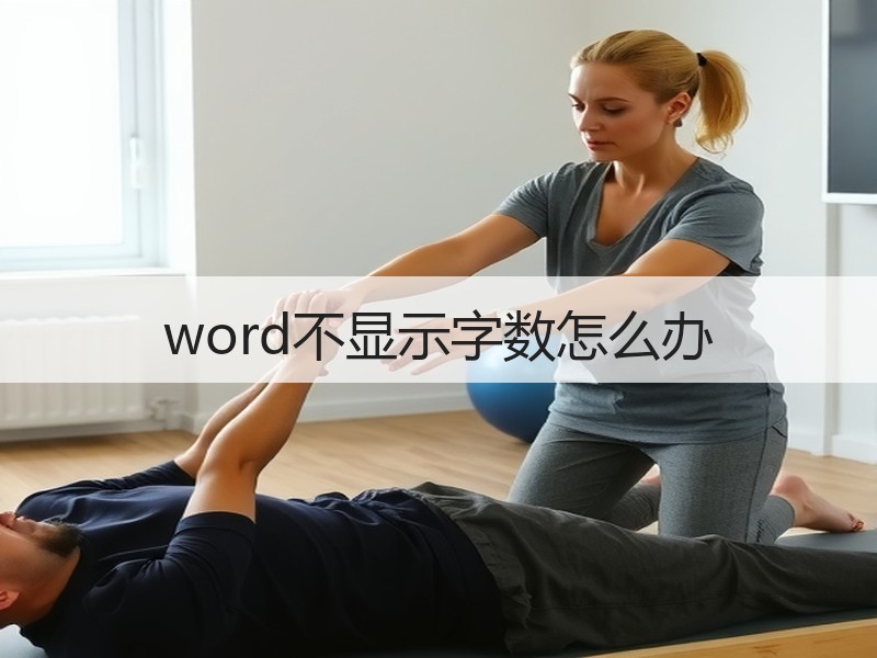 word不显示字数怎么办 - 诺云壹观办公网