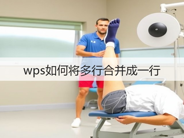 wps如何将多行合并成一行(图2)