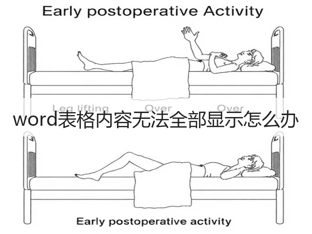 word表格内容无法全部显示怎么办(图2)