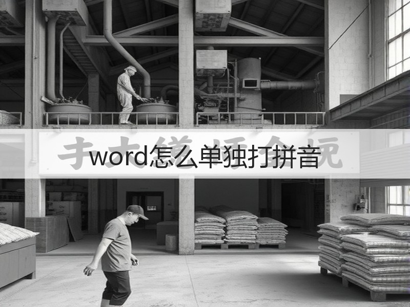 word怎么单独打拼音 - 诺云壹观办公网