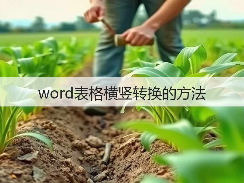word表格横竖转换的方法 - 诺云壹观办公网