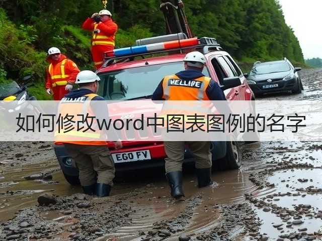 如何修改word中图表图例的名字(图1)