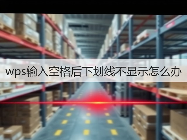 wps输入空格后下划线不显示怎么办(图1) wps输入空格后下划线不显示怎么办(图1)