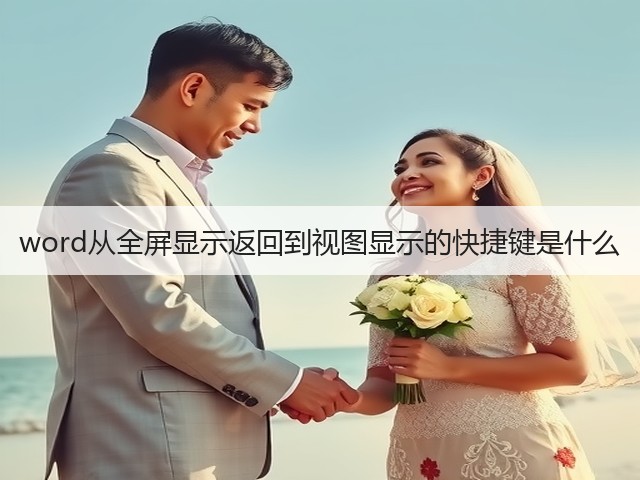 word从全屏显示返回到视图显示的快捷键是什么(图2) word从全屏显示返回到视图显示的快捷键是什么(图2)