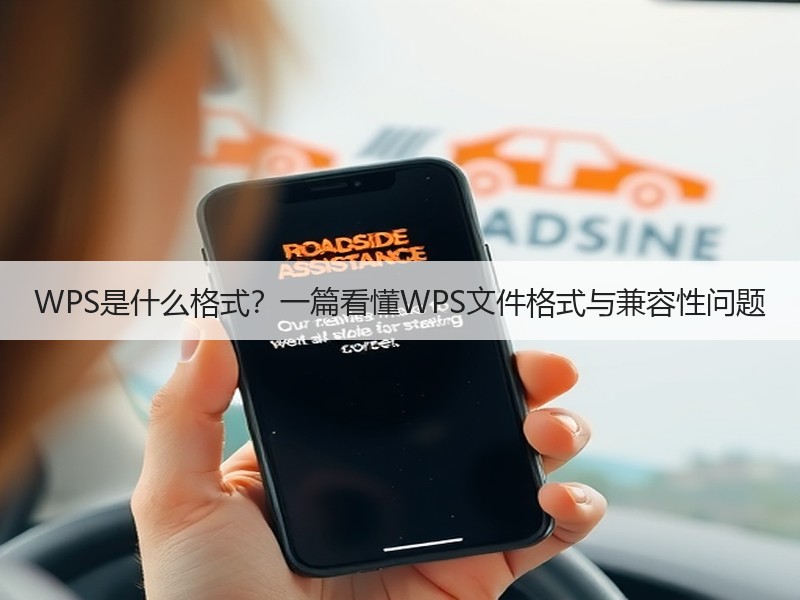 WPS是什么格式？一篇看懂WPS文件格式与兼容性问题 - 诺云壹观办公网
