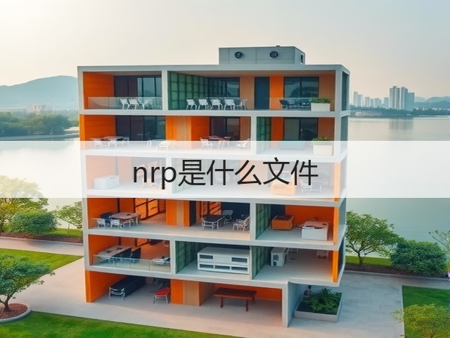 nrp是什么文件(图2)