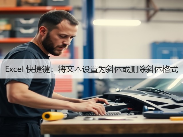 Excel 快捷键：将文本设置为斜体或删除斜体格式(图3)