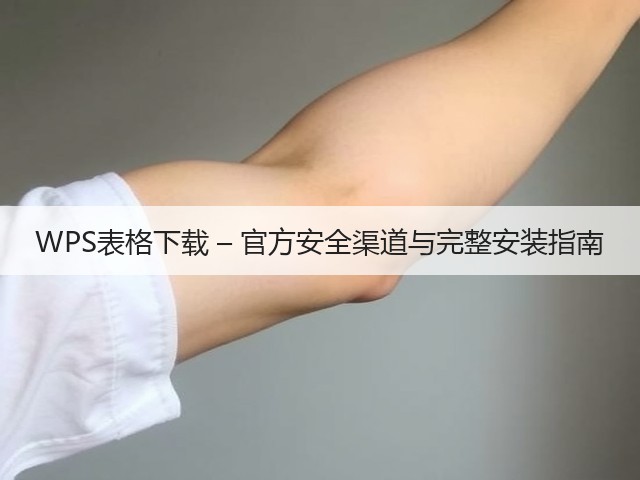 WPS表格下载 – 官方安全渠道与完整安装指南(图1) WPS表格下载 – 官方安全渠道与完整安装指南(图1)