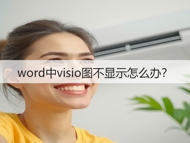 word中visio图不显示怎么办？ - 诺云壹观办公网