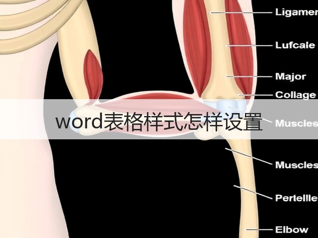 word表格样式怎样设置(图1)