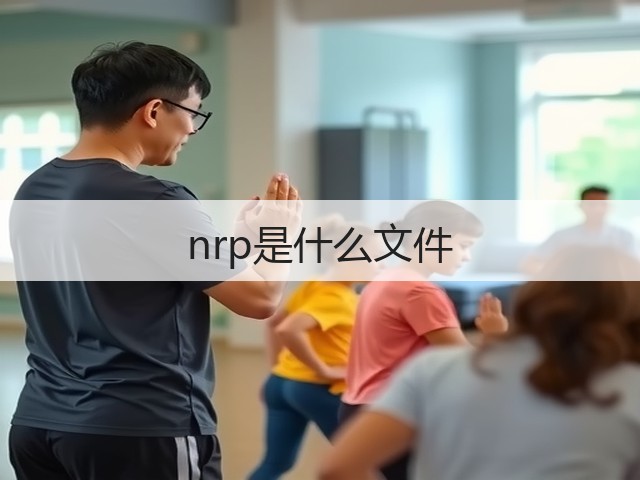 nrp是什么文件(图3)