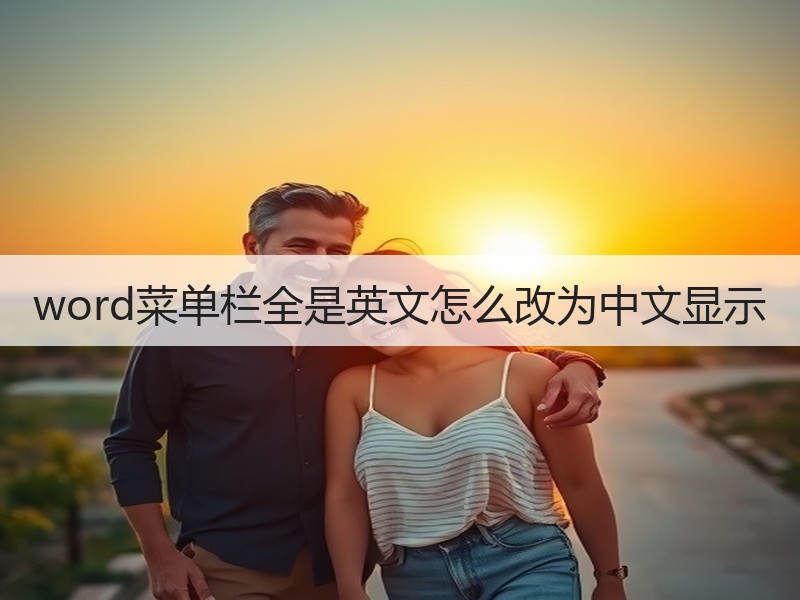 word菜单栏全是英文怎么改为中文显示 - 诺云壹观办公网