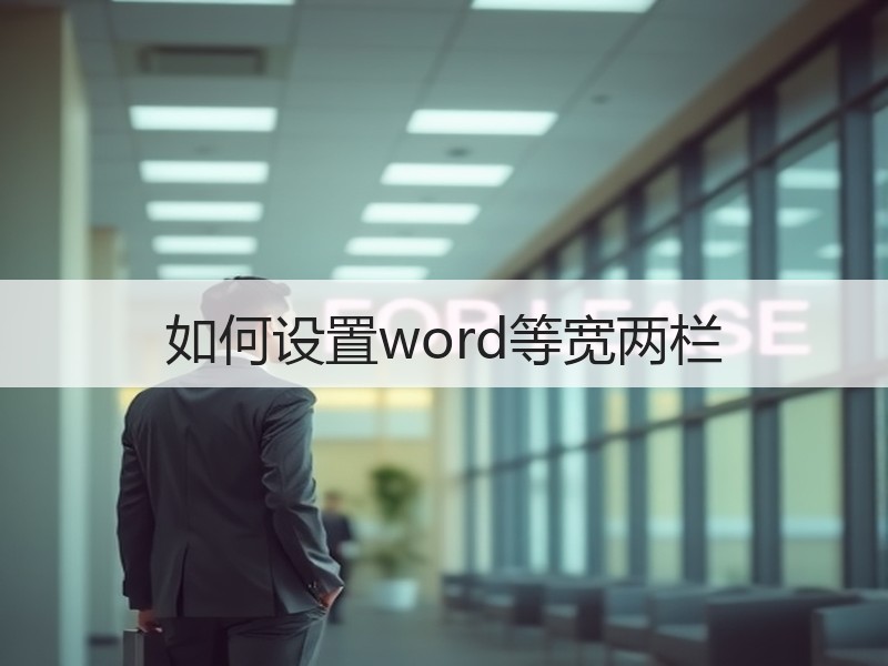 如何设置word等宽两栏 - 诺云壹观办公网