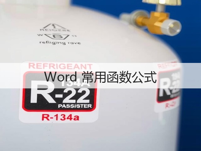 Word 常用函数公式(图1)
