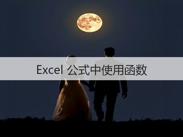 Excel 公式中使用函数(图1)