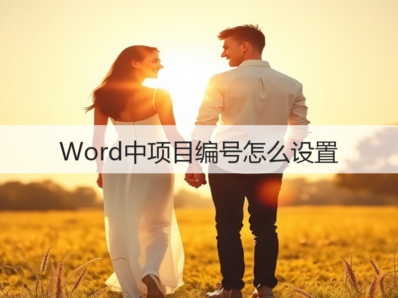 Word中项目编号怎么设置 - 诺云壹观办公网