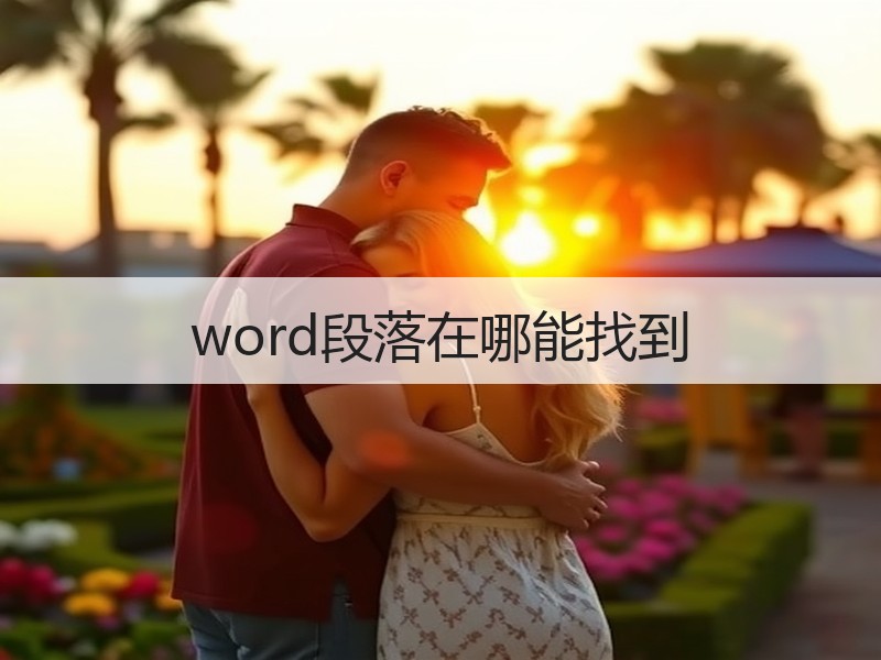word段落在哪能找到 - 诺云壹观办公网